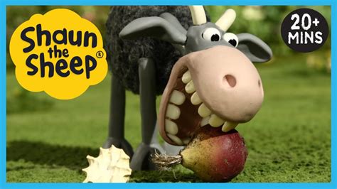 The Bull and Goat Come To Play 🐮🐐 Shaun the Sheep Full Episodes 🐑 ...