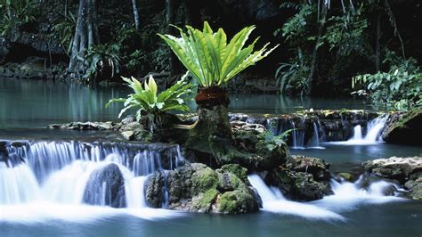 Tropical Waterfall Desktop Wallpapers - Top Free Tropical Waterfall ...