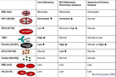 1000+ images about USMLE/COMLEX on Pinterest | Blood, Student-centered ...