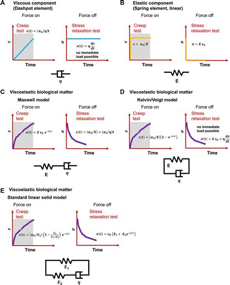 Frontiers | Viscoelasticity Acts as a Marker for Tumor Extracellular ...