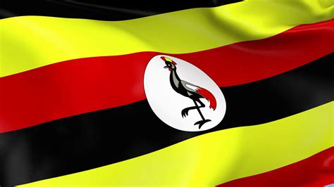 Uganda Flag Wallpapers - Top Free Uganda Flag Backgrounds - WallpaperAccess