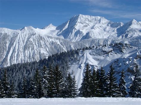 Mountain Covered With Snow, Colorful Flower Field, Hill Nature ...