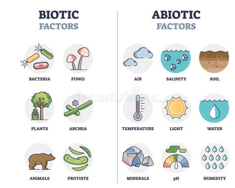 Abiotic Factors Stock Illustrations – 5 Abiotic Factors Stock ...