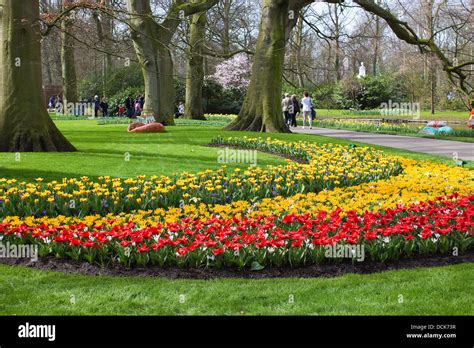 Colorful spring flowers in the park Stock Photo - Alamy