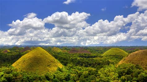 Bohol Day Tour: Chocolate Hills Tour and Loboc River Cruise - KKday