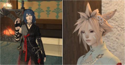 Ffxiv Viera Unlockable Hairstyles - canvas-nexus