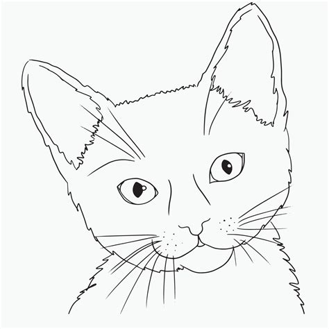 Cat Line Art, Kitty Face Outline Drawing, Simple Sketch, Minimalist ...