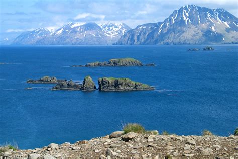 6 Reasons Why Alaska’s Aleutian Islands Are A Hot Spot For Sea Life ...