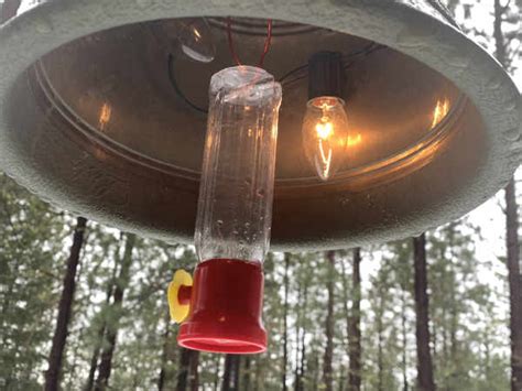 DIY Winter Hummingbird Feeder – Straps To Go