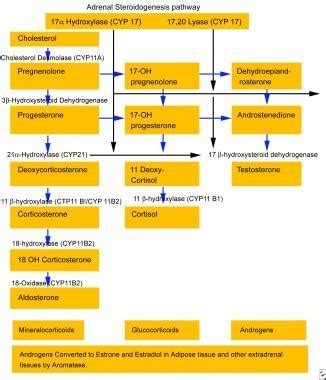 C-17 Hydroxylase Deficiency: Practice Essentials, Pathophysiology, Etiology