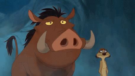 Timon And Pumba Oh GIF - Timon And Pumba Oh Lion King - GIFዎችን ያግኙ እና ያጋሩ