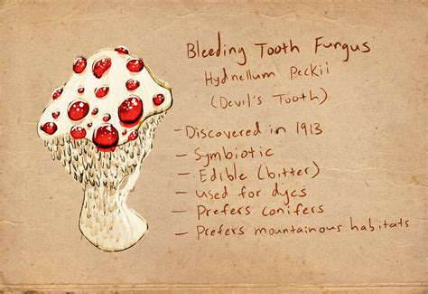 Bleeding Tooth Fungus by AprilSilverWolf on DeviantArt