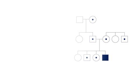 Recessive Traits and Alleles