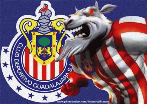 Chivas De Mexico GIF - ChivasCampeon Futbol Mexico - Discover & Share ...