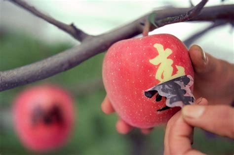 Inside Japan's Most Insanely Expensive Fruit Parlor