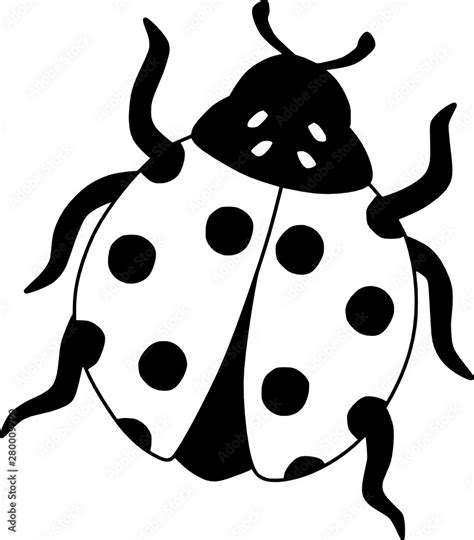 Ladybug Vector Cartoon Insect Illustration. Cute Black and White ...