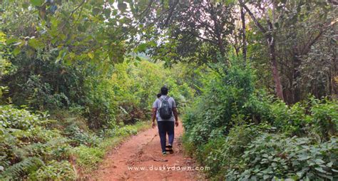 Tadiandamol Trek - A Day above the Clouds in Coorg - Dusky Dawn