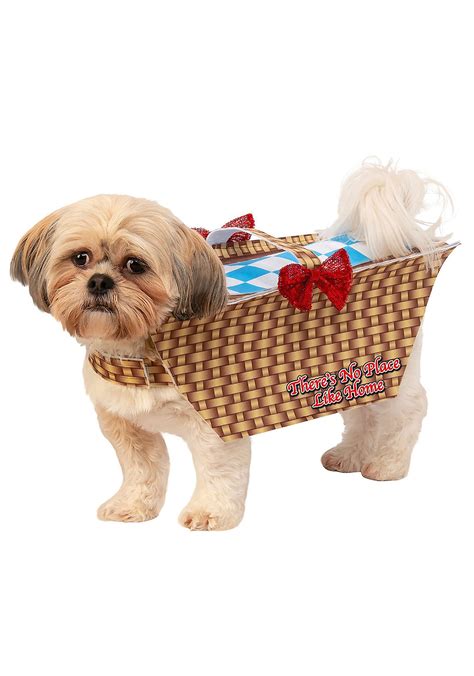 Dog Wizard of Oz Toto in Basket Costume