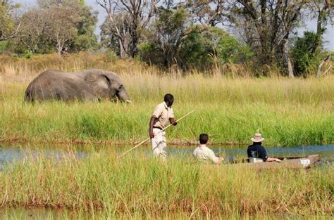 Mokoro Safari in the Okavango - Water - Based Game Viewing