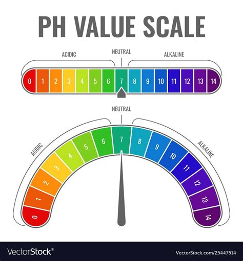 Ph alkaline acidic scale indicator water balance Vector Image , # ...