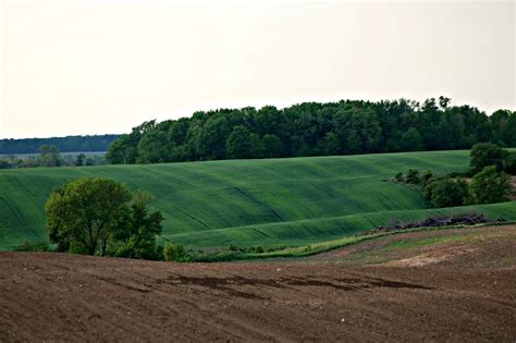 Grandparents & Grandchildren: Rural Landscape at Dusk