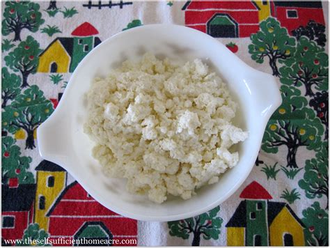 How to Make Cottage Cheese From Sour Milk - The Self Sufficient ...