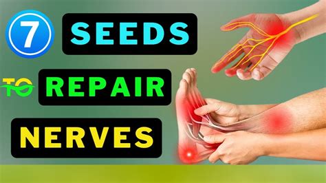 Best Seeds to Prevent & Repair Nerve Damage - YouTube