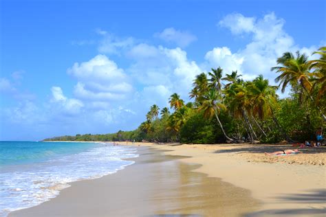 Plage de Martinique : Plages : Mer : Les Salines : Pointe Sud ...