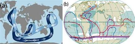 (a) The great ocean conveyor belt; a simplified diagram of the main ...