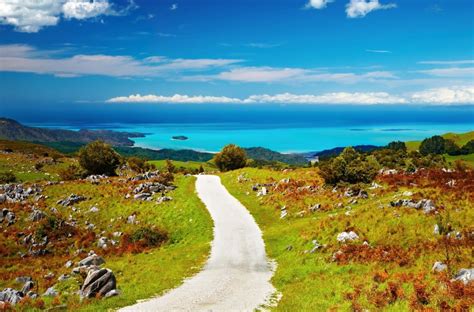 Abel Tasman National Park, New Zealand - Location, Things to do, Facts