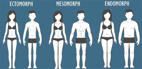 Your Body Shape Quiz! - ProProfs Quiz