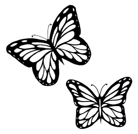 Monarch Butterfly Family Outline