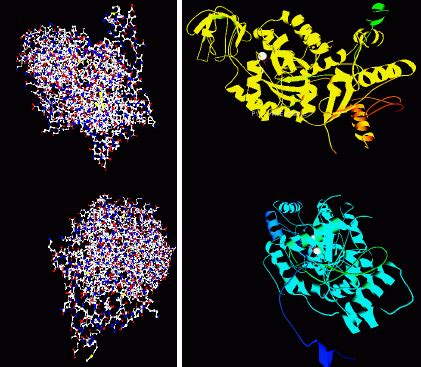 3D structure visualization of Pyruvate Kinase (1A3X): a) ball-and-stick ...