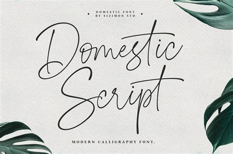 Best Script Fonts, Handwritten Script Font, Cursive Fonts, Handwriting ...