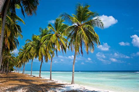 Dreaming of a property in Lakshadweep? Explore our guide now ...