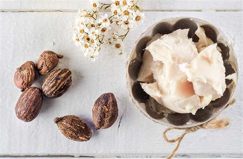 3 Common Myths About Shea Butter You Should Stop Believing