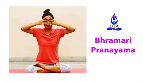 Bhramari Pranayama ( Humming Bee Breathing ) | Learn Breathing Techniques