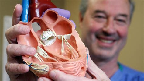 Heart valve replacement as easy as a trip to the dentist