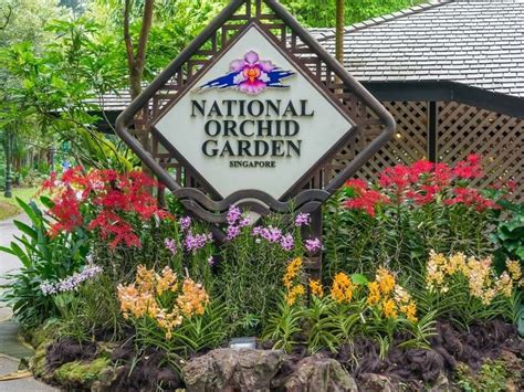 Singapore Botanic Gardens - National Orchid Garden | Attractions Near ...