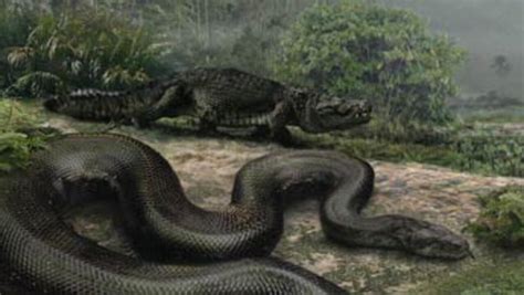 The World’s Largest Snake: Unveiling Nature’s Giant Serpent ...