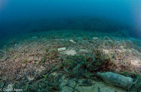 Bottom trawling is as bad for the planet as air travel – Just One Ocean