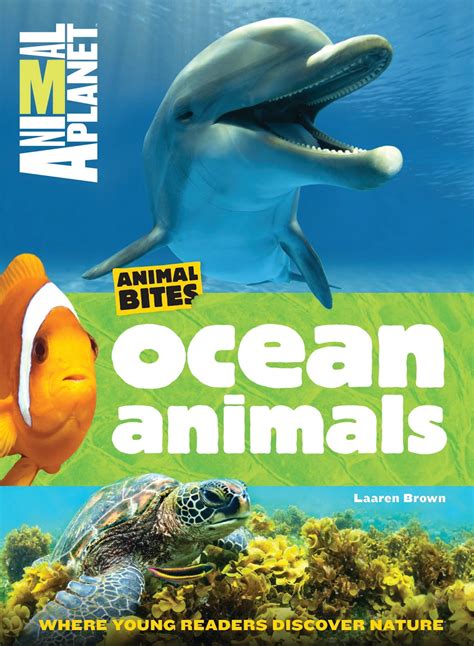 Jean Little Library: Nonfiction Monday: Animal Planet: Ocean Animals ...