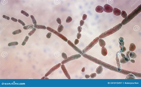 Fungus Trichosporon, 3D Illustration Stock Illustration - Illustration ...