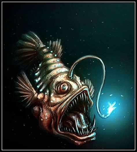 Angler fish deviantart Fish Illustration, Illustrations, Beer Drawing ...