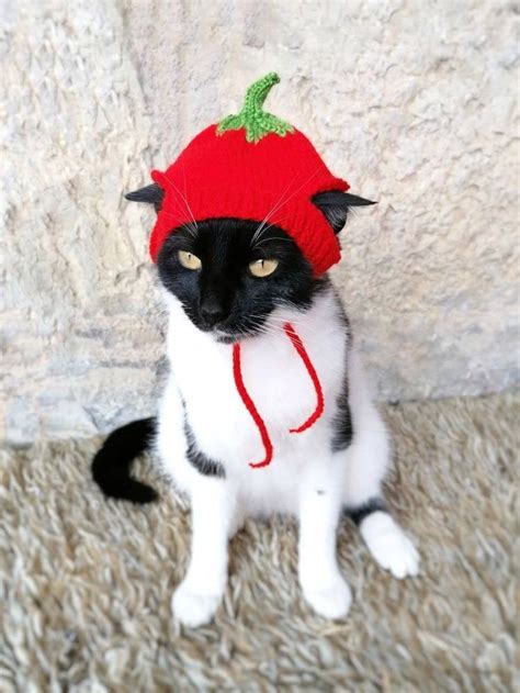 Tomato Cat Tomato Hat for Cathats for Catscostume for - Etsy | Pet ...