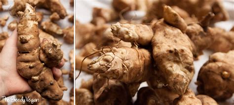 Growing and Harvesting Jerusalem Artichokes • The Greedy Vegan