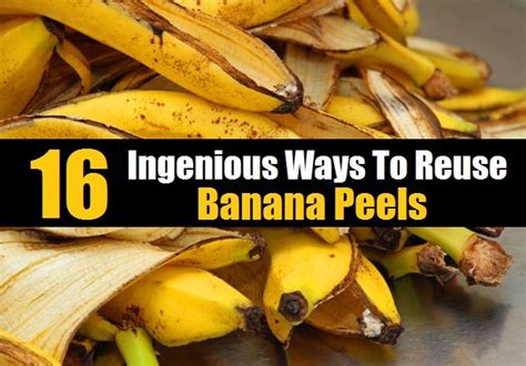 16 Ingenious Ways To Re-Use Banana Peels