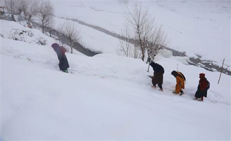 Celebrating Snowfall in Kashmir - Greater Kashmir