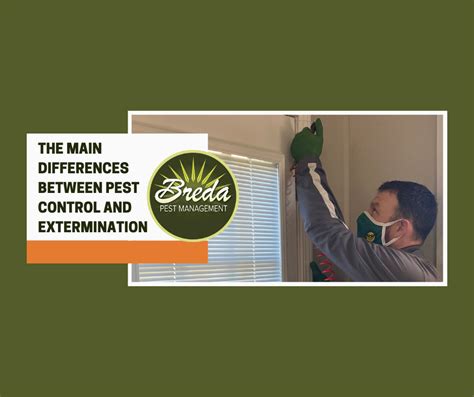 The Main Differences Between Pest Control and Extermination | Breda ...