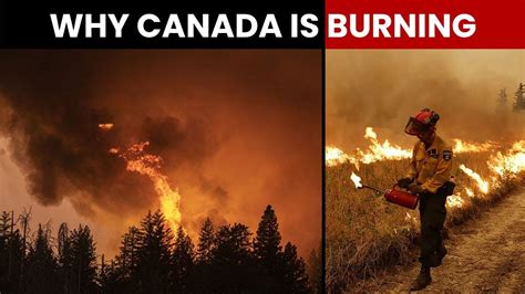 Canada Wildfire I What's Causing Forest Fires In Canada - YouTube